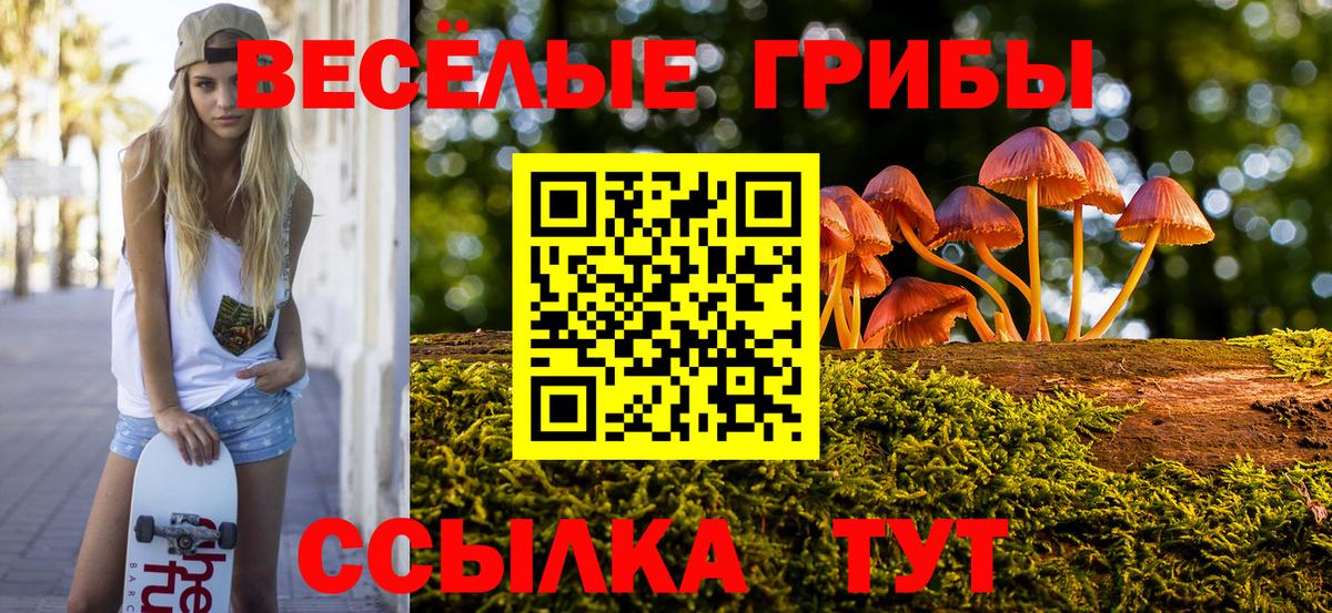 Галлюциногенные грибы MAGIC MUSHROOMS Клин