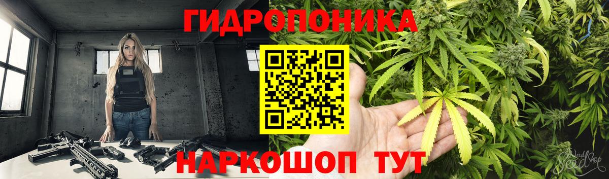 Бошки марихуана Amnesia Клин